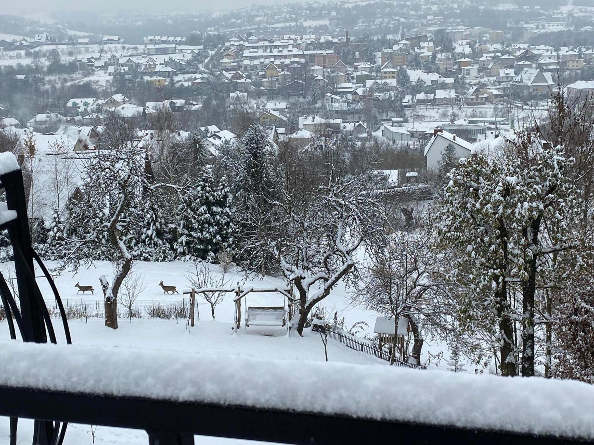 Mieszkanko Z Tarasem Limanowa Dış mekan fotoğraf